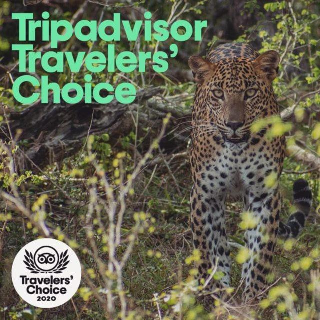 Camp Leopard - Yala Safari Glamping 호텔 외부 사진