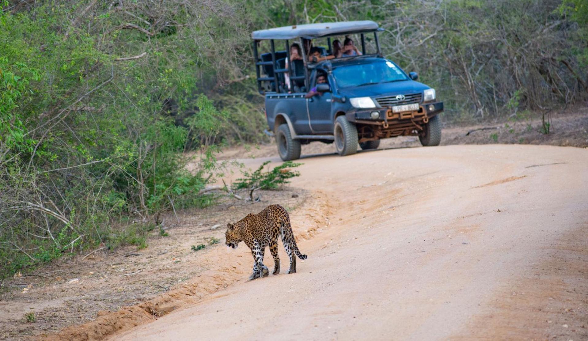 Camp Leopard - Yala Safari Glamping 호텔 외부 사진