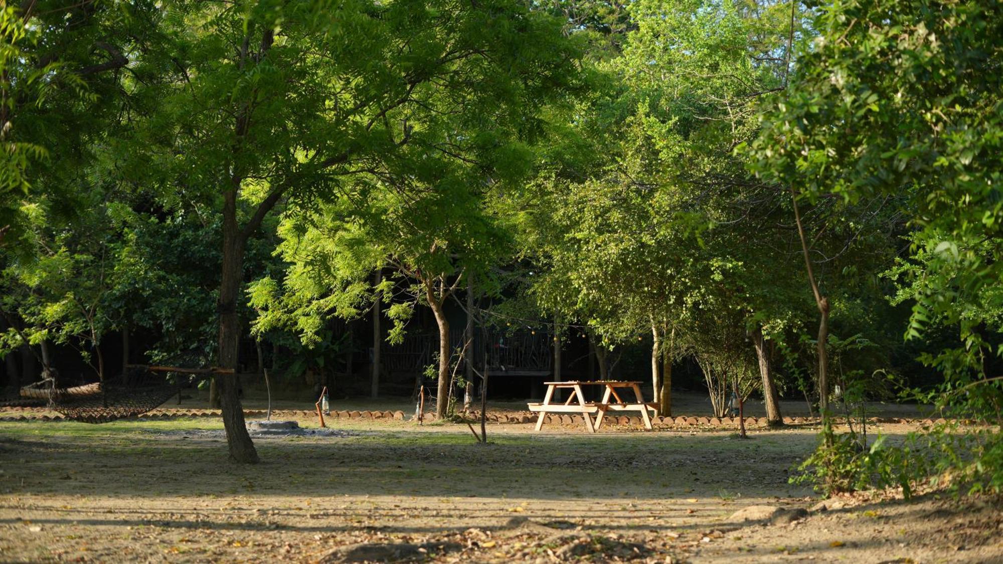 Camp Leopard - Yala Safari Glamping 호텔 외부 사진